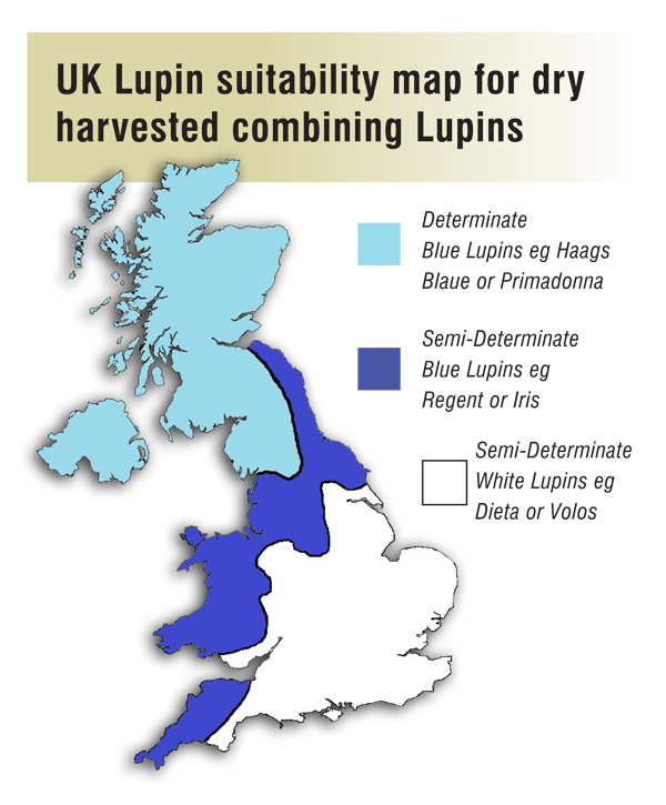 lupins-suitability-map
